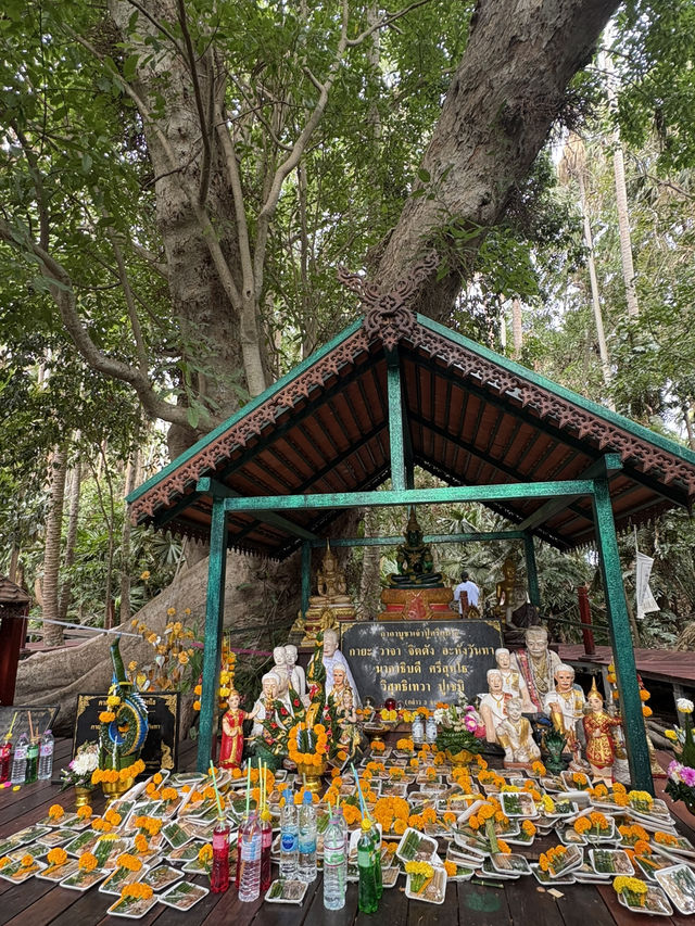 คู่มือการเดินทางคำชะโนด