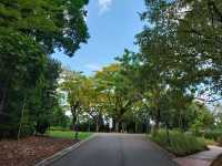 Singapore : Forest & City