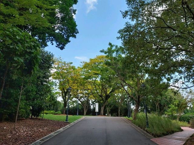 Singapore : Forest & City