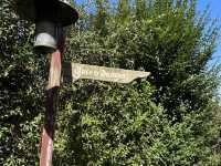 紐西蘭  霍比特村（Hobbiton）旅遊全攻略：魔戒迷必訪的中土世界秘境！