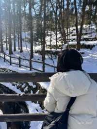 겨울 홋카이도 여행에서 꼭 찍어야하는 사진 2편(삿포로)