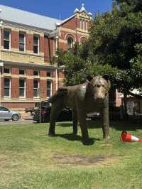 A Day in Fremantle: Where History Meets the Sea