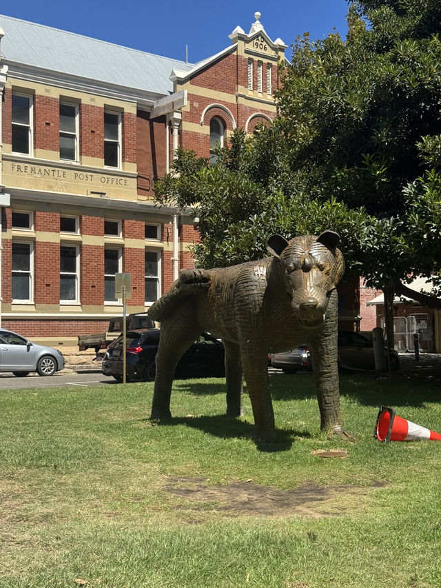 A Day in Fremantle: Where History Meets the Sea