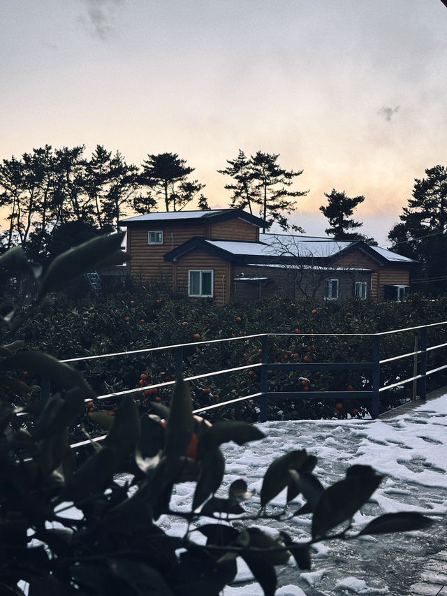 따뜻하고 조용한 곳에 자리잡은 감귤밭 통나무집🍊