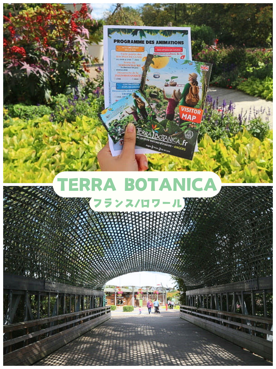 [France/Loire] A park full of unique activities! *TERRA BOTANICA*