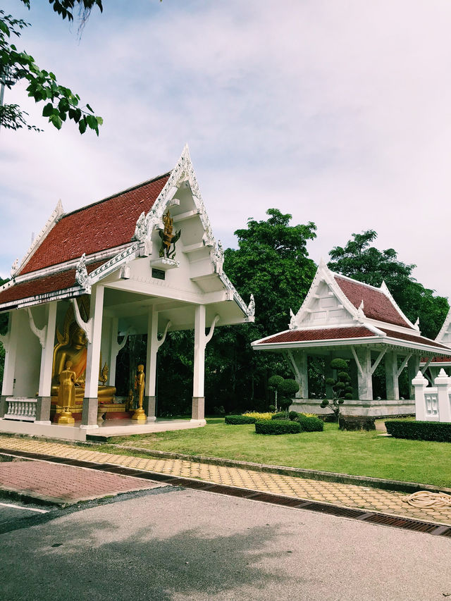Soaring Above Hat Yai: The Cable Car Experience