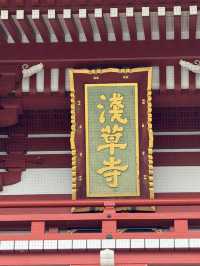 秋葉原、淺草與上野動物園的一日遊冒險 🌟