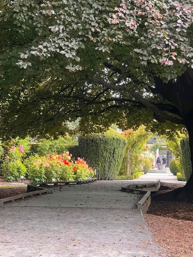 花園城市內的基督城植物園