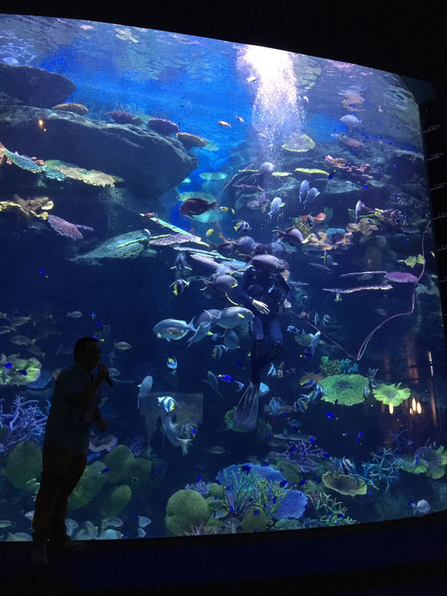 曼谷暹羅海洋世界的奇幻之旅 🌊🐠