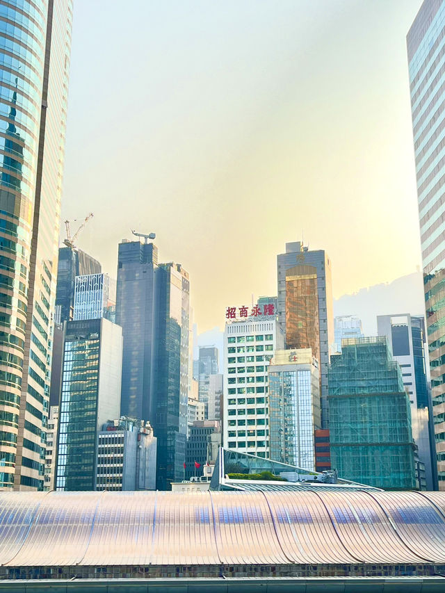 🇭🇰🌇홍콩 무료전망대 추천 -  IFC 몰 루프탑 가든🏢🏬