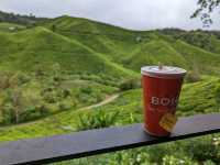 Cameron Highlands: A Cool Retreat Amidst Lush Greenery