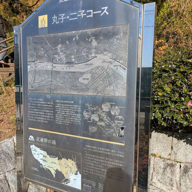 Tamagawadai Park (多摩川台公園)
