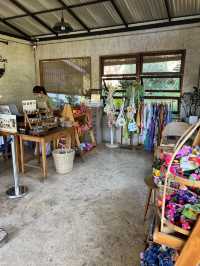 チェンマイ🇹🇭🐘と触れ合えるcafe