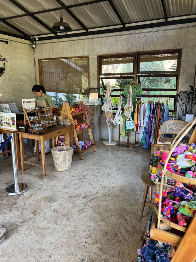 チェンマイ🇹🇭🐘と触れ合えるcafe