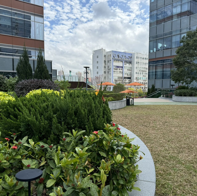元朗隱藏免費2萬呎兒童遊樂公園