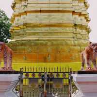 วัดพระธาตุจอมทอง พะเยา