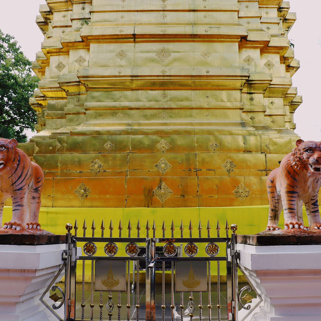 วัดพระธาตุจอมทอง พะเยา
