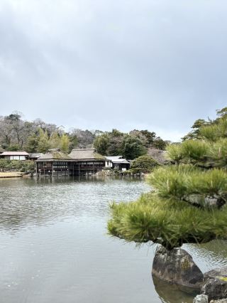 Genkyu-en: A Traditional Japanese Garden Near Hikone Castle