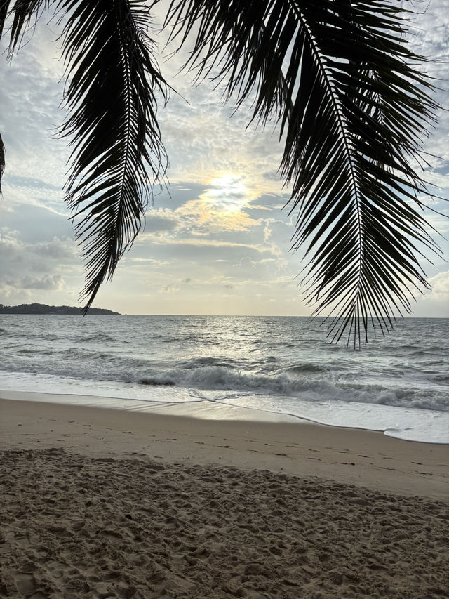 Koh Samui🌴