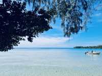 ดำน้ำดูปะการังเกาะกูด—ใต้ทะเลที่สวยจนหยุดหายใจ