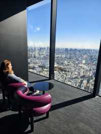 東京高229米的展望台