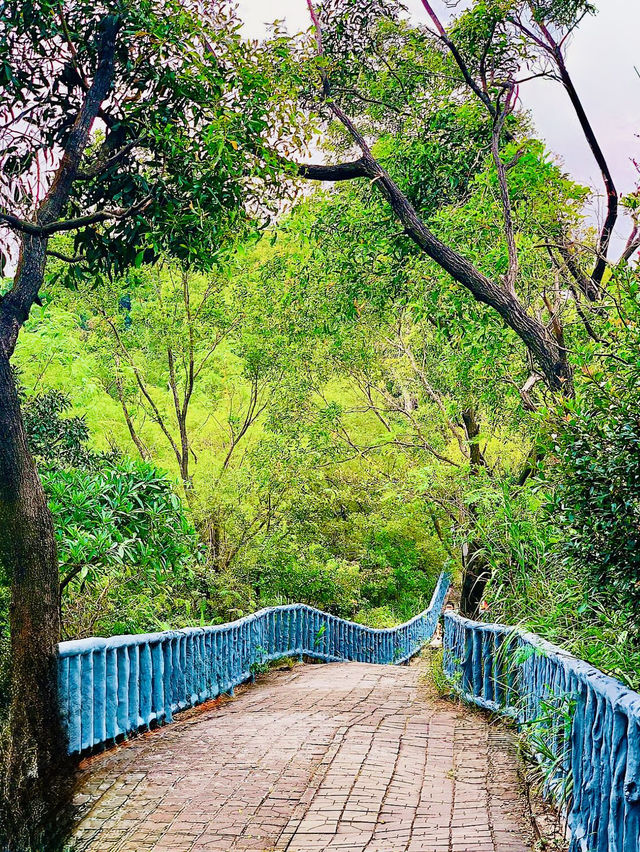 Spring Awakening & Hike Nanshan Park Shenzhen