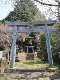 高聳入雲的九重夢大橋，飽覽鳴子川溪谷瀑布