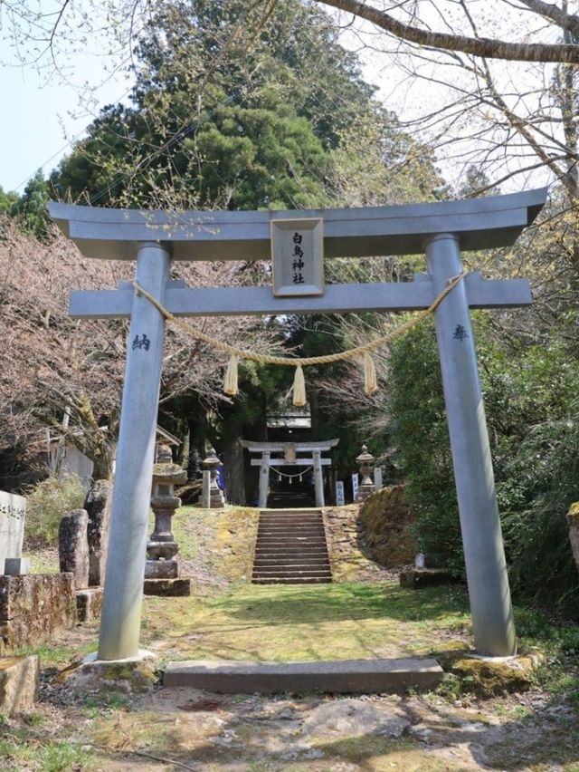 高聳入雲的九重夢大橋，飽覽鳴子川溪谷瀑布