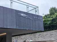 Time Travel in Changsha: Discover the Secrets of Ancient China at Hunan Museum