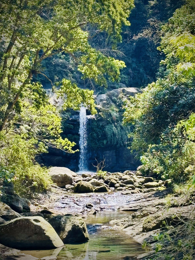 圓潭自然生態園區：隱藏在山林間的綠色秘境