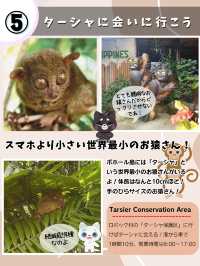 セブで行きたいスポット５選