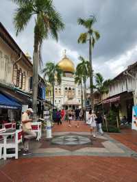 22 Hours in Singapore: Walking Non Stop🇸🇬