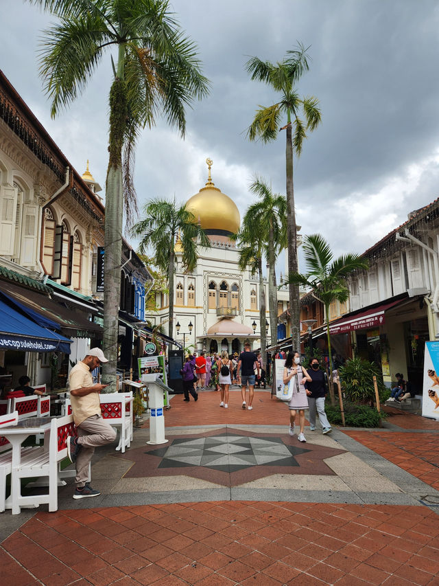 22 Hours in Singapore: Walking Non Stop🇸🇬