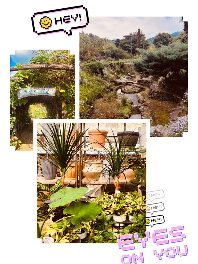 A Unique Garden Experience 🛶🌺 