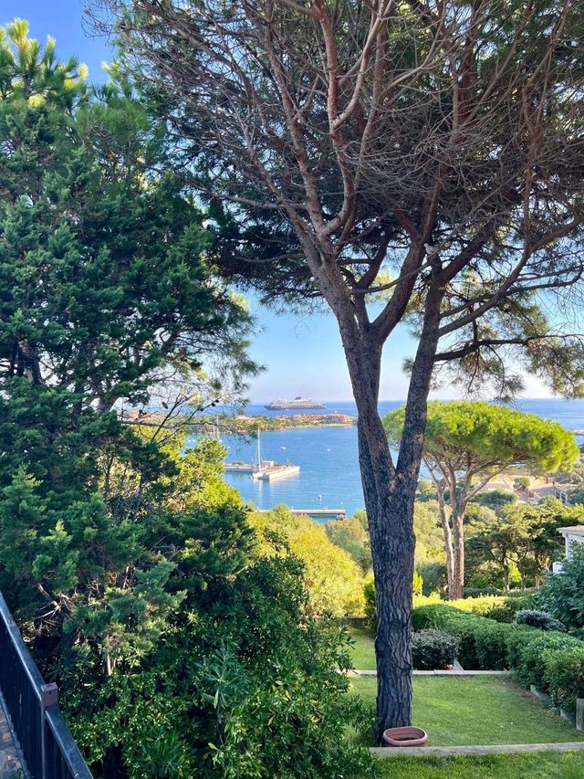 🍷 *"Spring in Italy = Aperol spritz o’clock all day."*