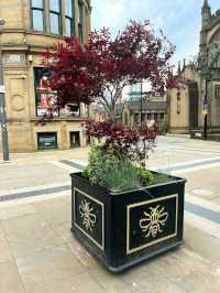 Cathedral Gardens