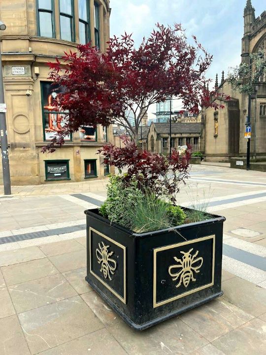 Cathedral Gardens