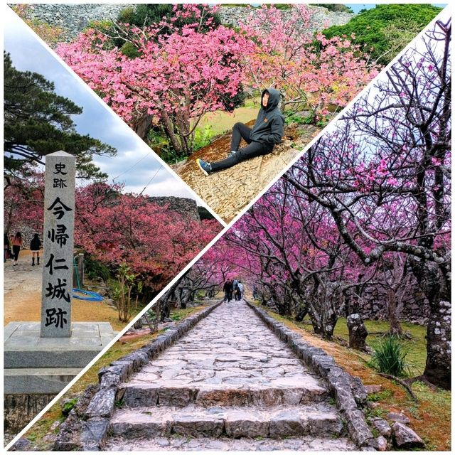 Okinawa - From City to Nature, The All in One Island