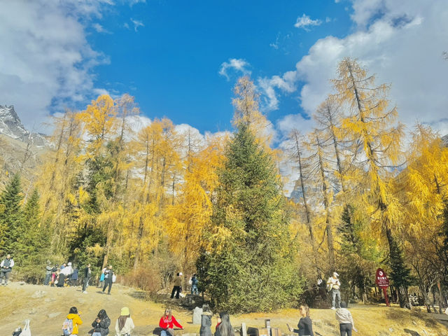  ภูเขา 4 ดรุณี (Siguniangshan, 四姑娘山) 🇨🇳