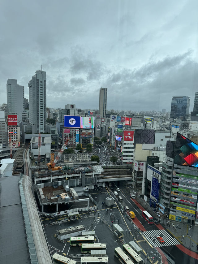 🇯🇵도쿄에서 보내는 완벽한 3박4일, 놓칠 수 없는 여행 코스!
