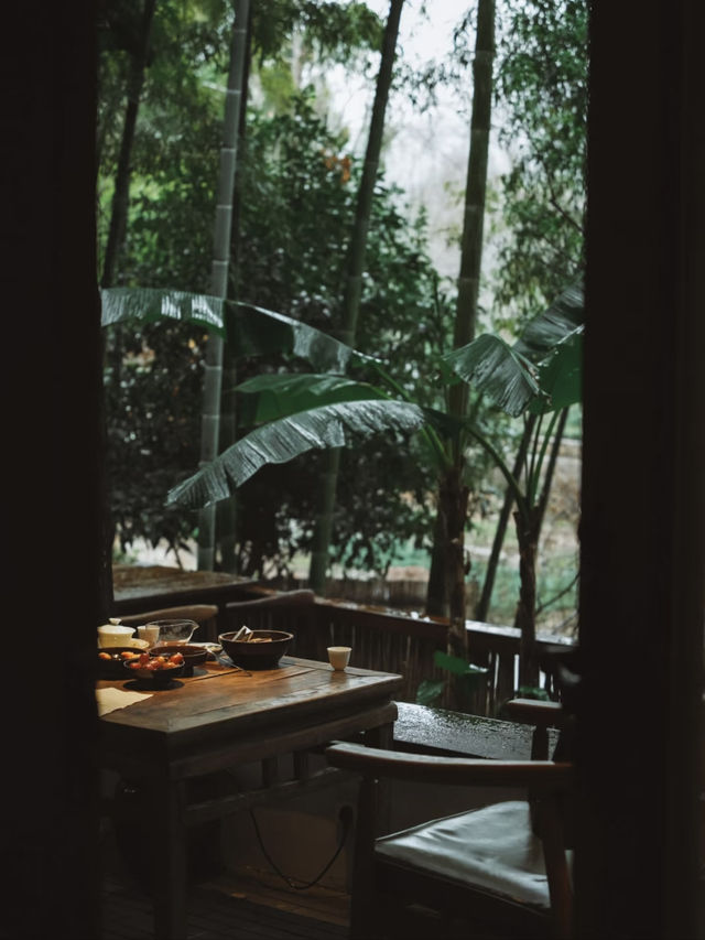 🌿 Springtime Magic in Wuyi Mountain 🌿