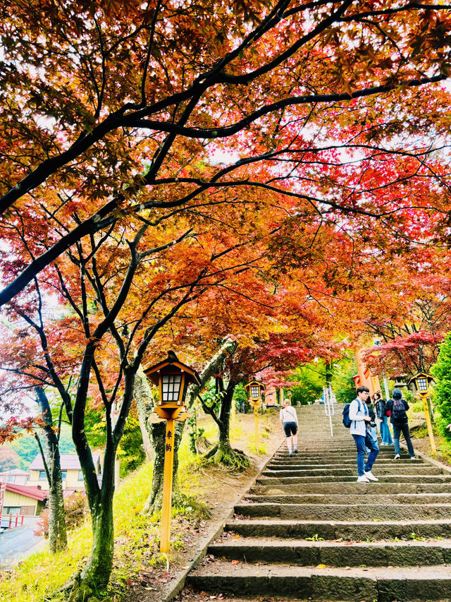 【日本山梨】新倉山淺間公園：步入秋天的畫卷