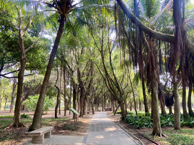 🧎沉浸在綠意與海濱風光中🌟深圳灣公園🌳