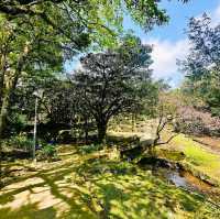 陽明山前山公園