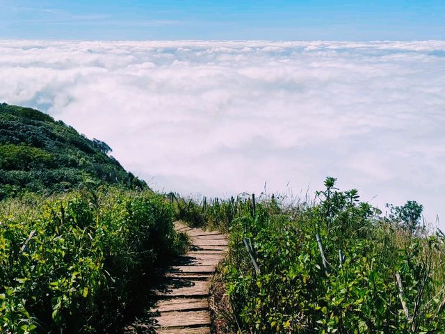 泰國清邁著名茵他農國家公園景點：Kew Mae Pan Viewpoint，美麗的雲海，適合休閒徒步打卡拍照📸