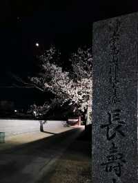 【山口グルメ】春来軒・やきそば・ばりそば
