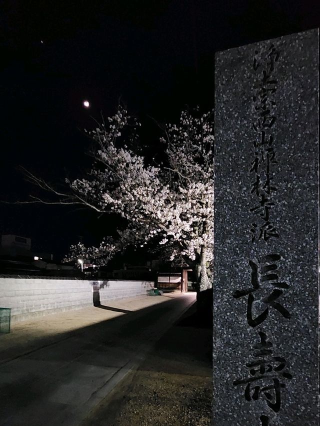 【山口グルメ】春来軒・やきそば・ばりそば