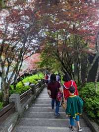 # 太平山國家森林遊樂區- 宜蘭縣大同鄉
