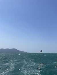 【静岡】富士山を望む海鮮の街・沼津