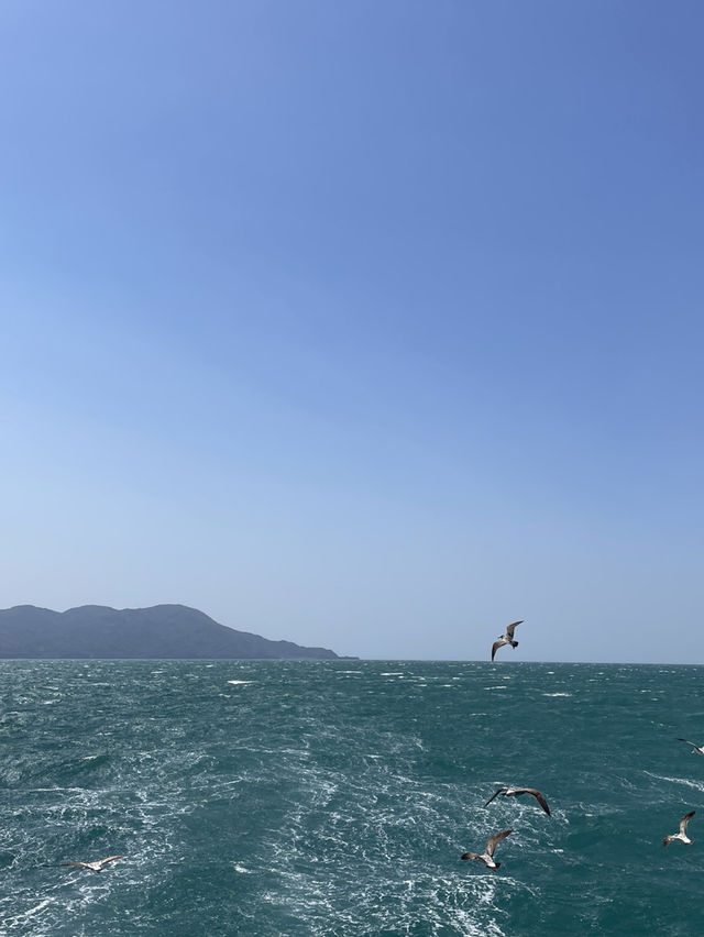 【静岡】富士山を望む海鮮の街・沼津